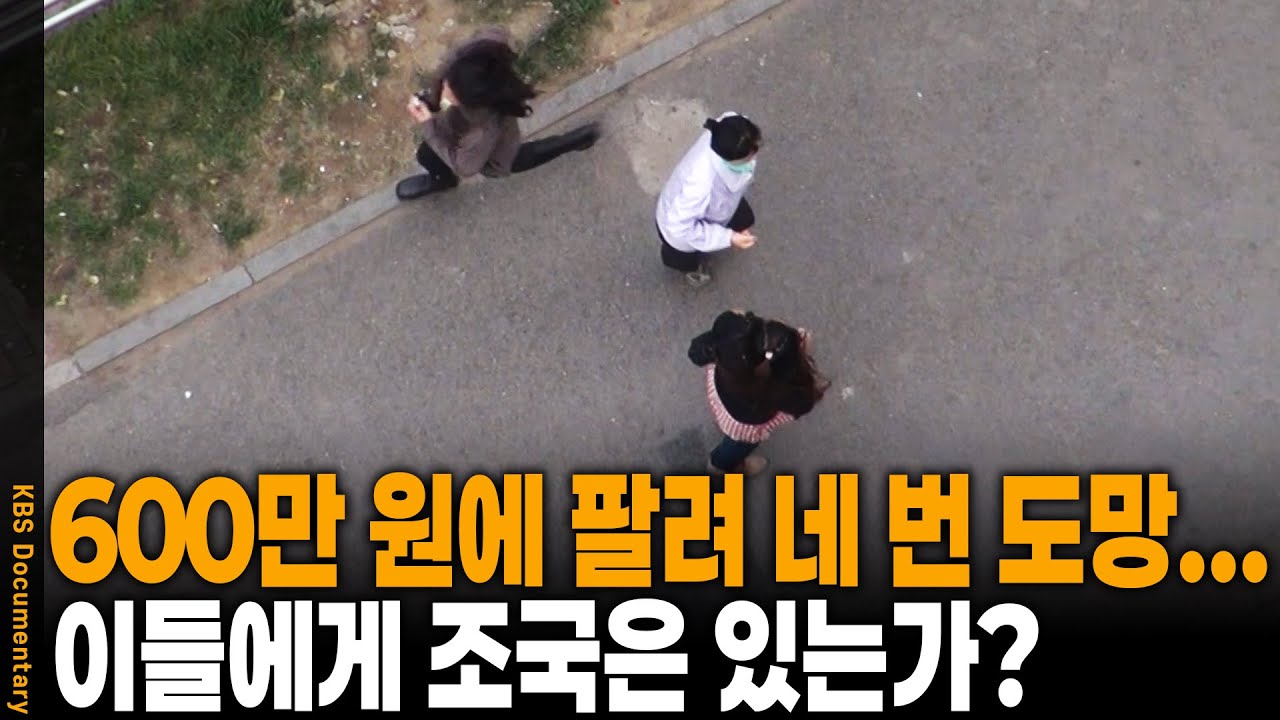 대낮 총살 현장 포착! 수류탄 품고 죽을 각오로 강을 건너는 탈북 난민의 긴박한 사투! | KBS 20111113 방송