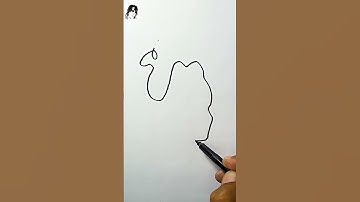 Picasso Line Drawings Reproduction