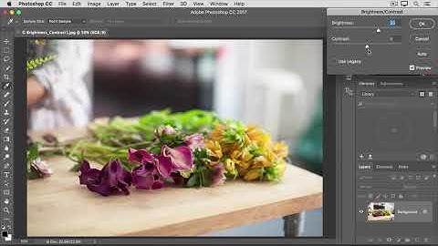 Photoshop Tutorial Adjust Brightness And Contrast Image