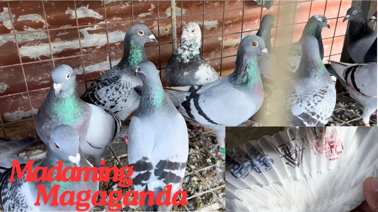 2ND BATCH NATIN NA TAIWAN DUMATING NA DAMING MAGAGANDA MGA KALAPATIDS.