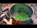 Wild Foraged Meal - Fiddleheads, Ramps, Pine Needle Tea