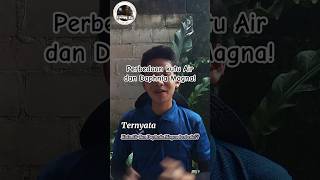 Download Lagu Perbedaan Kutu Air dan Daphnia Magna// #breeding #budidaya #kultur #fyp #ternak #kutuair #dhapnia MP3