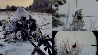 Finnish Sharpshooter Series Hunt Tac A1 6.5Creedmoor Rpr .17Hmr Triggercam Footages