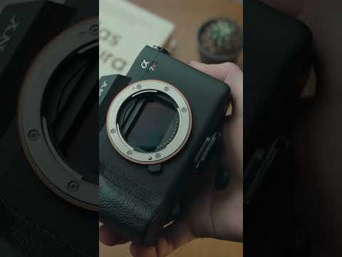Sony A7R V | The Best Camera of 2022?