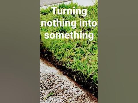 Edging with a Ryobi 40V Weed Eater - YouTube