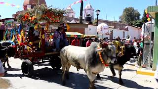 Calenda de Toros 2023 San Sebastian Tutla Festividad Patronal 2023 Dia de Jaripeo