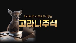 Download Lagu (실시간주식방송)0211(수) MP3