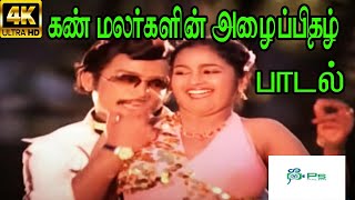 Kann Malargalin Azhaipidhazh ||கண் மலர்களின் அழைப்பிதழ்  || Ilaiyaraaja, S. Janaki ||Duet Song