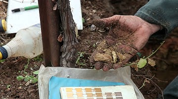 Soil mapping vineyard technology: winery precision farming