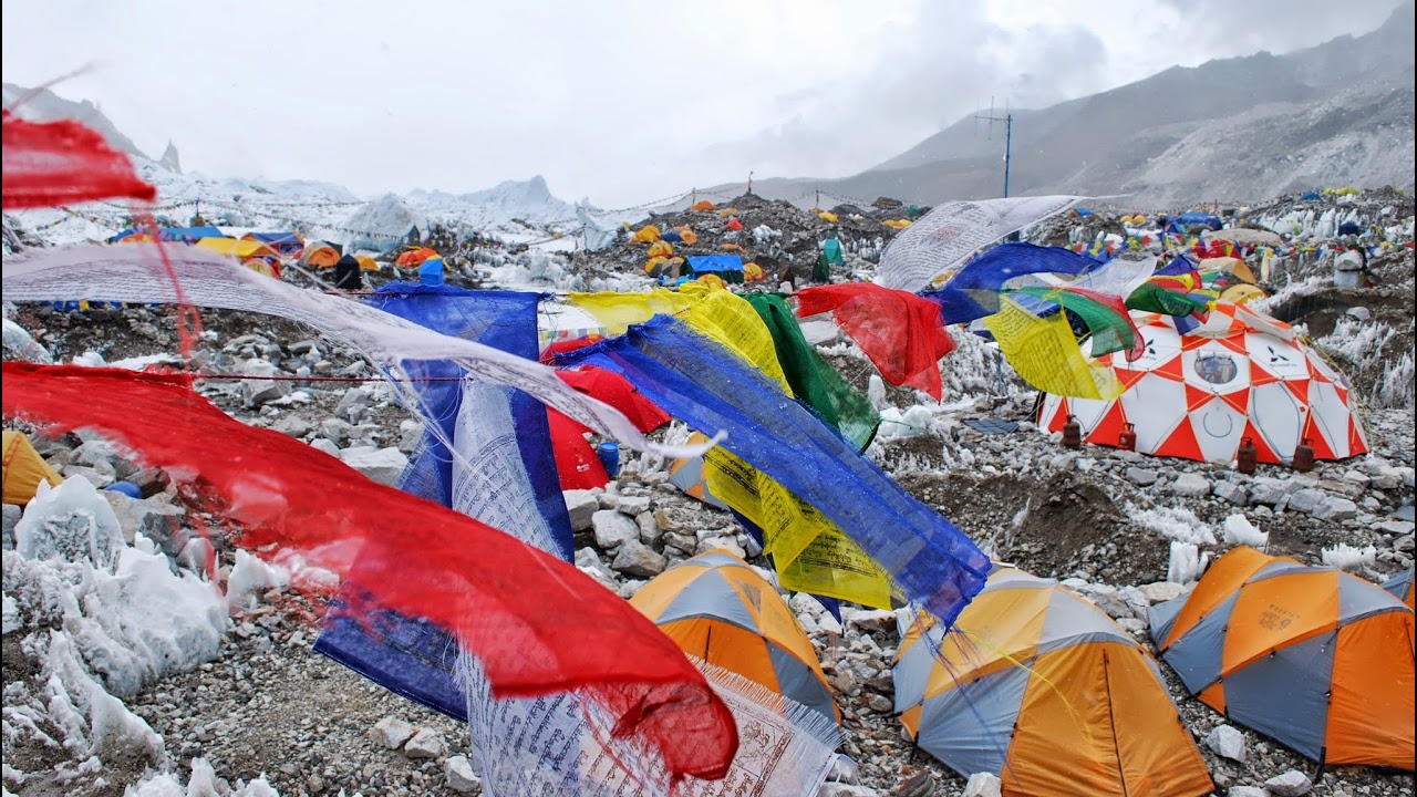 Back Break 33 Team Random