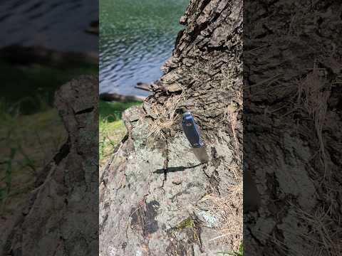 Beautiful Lake....& Knives