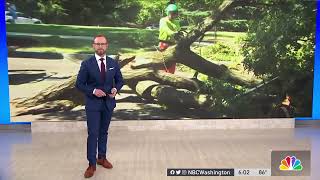 Celebrity Cleanup effort continues in the District after storm | NBC4 Washington Net Worth