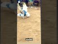 رحمان يا رحمان اناشيد اسلامية Islam Anachid Diniya رحمان يا رحمان اناشيد اسلامية Islam Anachid Diniya