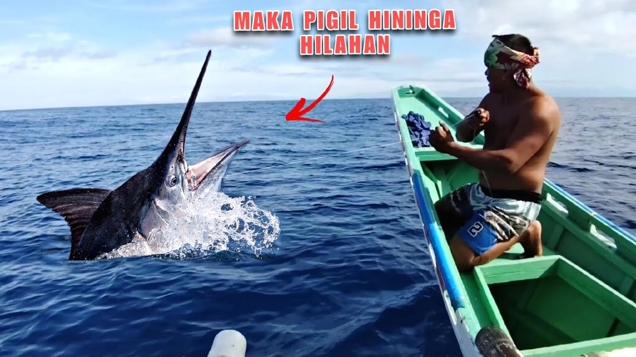 Giant Blue Marlin Caught Using HANDLINE Fishing | Strongest Fish In The World