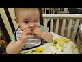Owen  baby led weaning at 6 months old