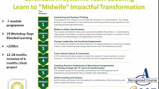 Systemic Team Coaching Webinar Series - Team Coaching Journey