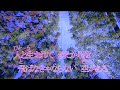 新曲/夢一筋/島津悦子 オリジナル