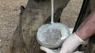 Equicast and applying a Backwards Shoe using SuperFast
