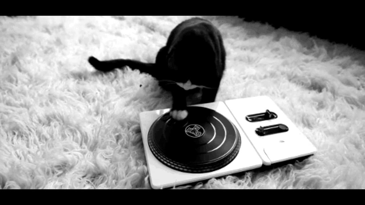 Leticia Alcântara - Dia Bom