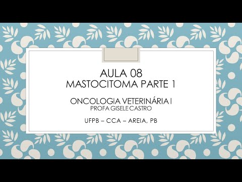 Vídeo: Tumor De Mastócitos (mastocitoma) Em Cães