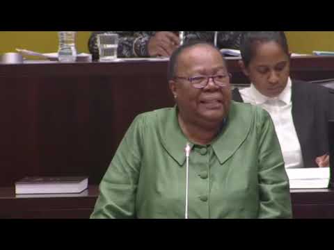 Closing Statement by Minister Pandor on the ongoing Israel-Palestine conflict