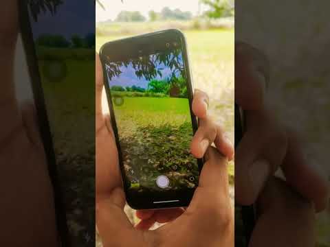 iPhone XR in