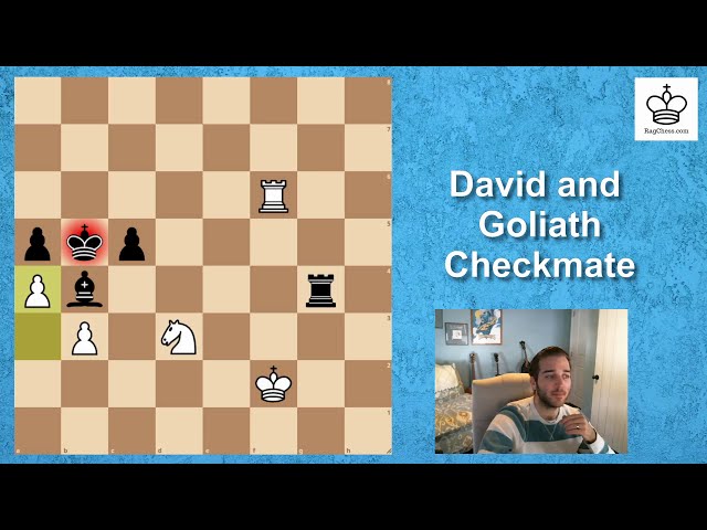 Check, Checkmate, & Stalemate Differences Explained (with GIFs)