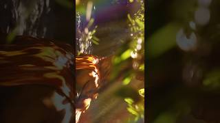 JAI SHREE HANUMAN JI #lordhanuman #shortvideo #viral #almighty