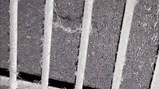Epic Cleaning Of A Filthy Condenser