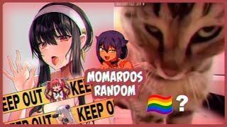 Momardos Random #15 | Videos Random | Memes Compilation | Shitpost Compilation