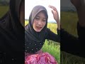 Suasananya enak banget bareng #nenganggi #shorts #viral #explorepedesaan