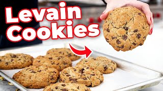 How To Make The Famous Levain Chocolate Chip Cookies