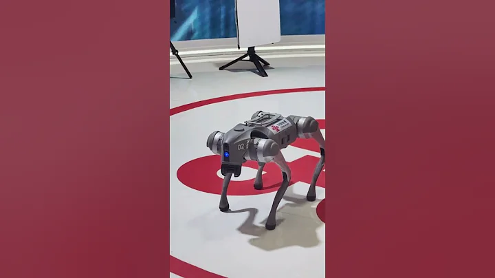A robot dog took the spotlight at the 2025 (China) Eurasia Commodity and Trade Expo!