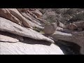 Journey On El Camino Del Diablo: The High Tanks Video 5 | Aquachigger