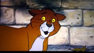 Meeeooowww