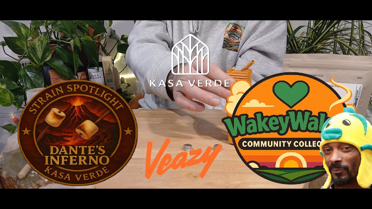 🔥 Strain Spotlight: Dante’s Inferno 🌿 Kasa Verde | Green Karat | Mamedica - REUP
