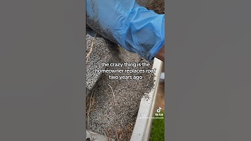 You won’t believe what I found in these gutter! #guttercleaning #pressurewashing #timelapse