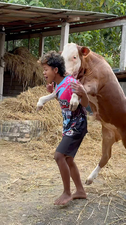 Too spoiled if this 🤣🤣🤣