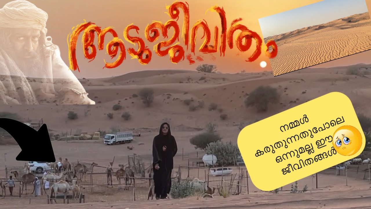 🛑😭യഥാർത്ഥ ആടുജീവിതങ്ങൾ⁉️|| Real goat lives