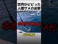 世界がビビったホホジロザメの追撃