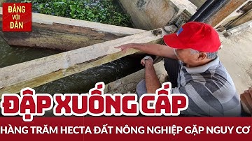 Hơn 130 ha đất nông nghiệp có nguy cơ nhiễm mặn | Hộp thư truyền hình