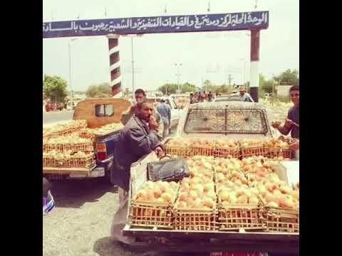 الله يحفظك سيناء