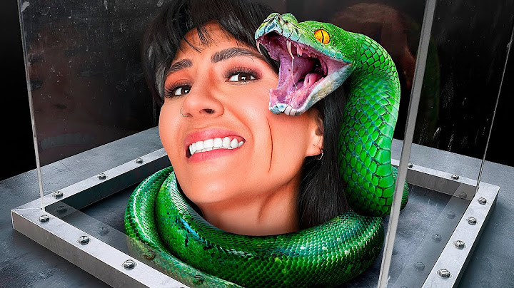 TE DOY DINERO SI VENCES TU FOBIA A LAS SERPIENTES 🐍... PARTE 1