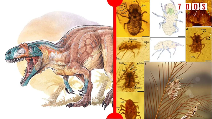 Important New Dinosaur Discovered & Dinosaur Feathers Preserved with Parasites - 7 Days of Science - DayDayNews