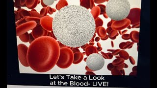 Take a Look Inside- Your Blood Tells A lot!