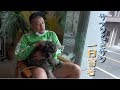 【独占密着】YouTuberサックくきサクの日常
