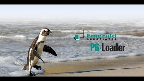 2023-08-29 - P6-Loader Webinar - Automate Primavera P6 Data Loading and Updating