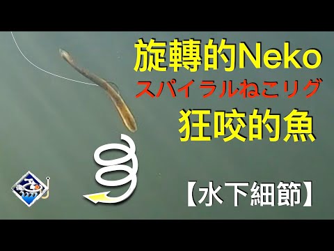 【釣組教學】螺旋防掛Neko，細節定乾坤！路亞人必備的箱底技法！【大漁視角尋鱸訣】