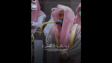 ﴿وَلَقَد أَنزَلنا إِلَيكَ آياتٍ بَيِّناتٍ﴾ من سورة البقرة للشيخ عبدالله الجهني 🤍.