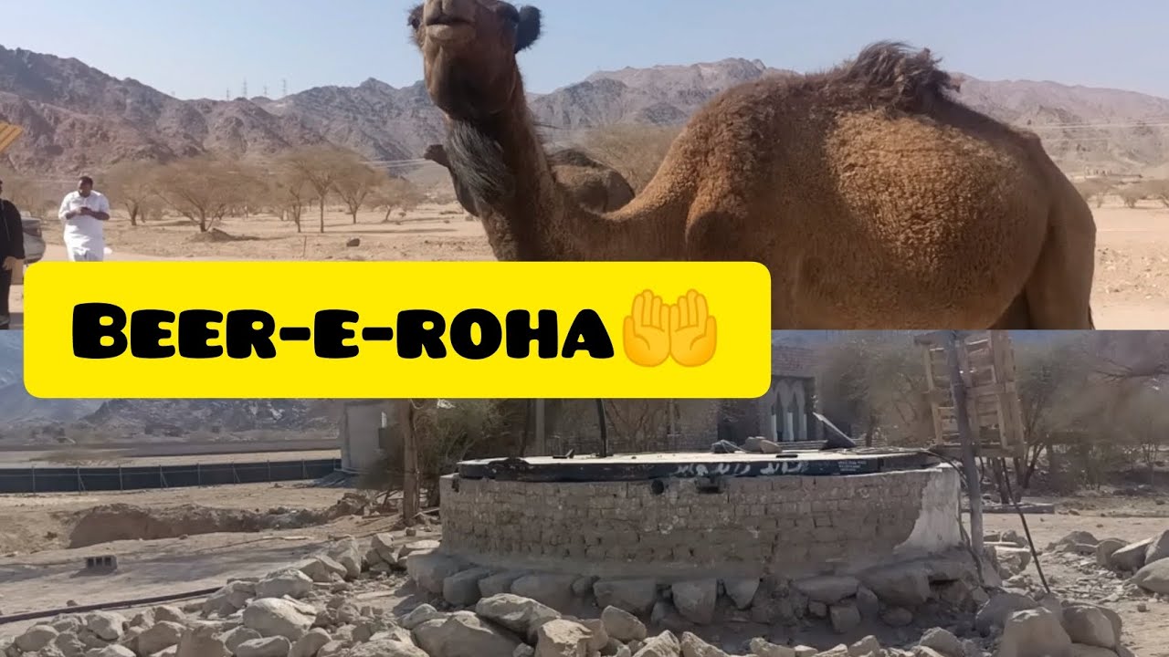 Beer-e-roha🤲hum per hua camels attack,😳😱